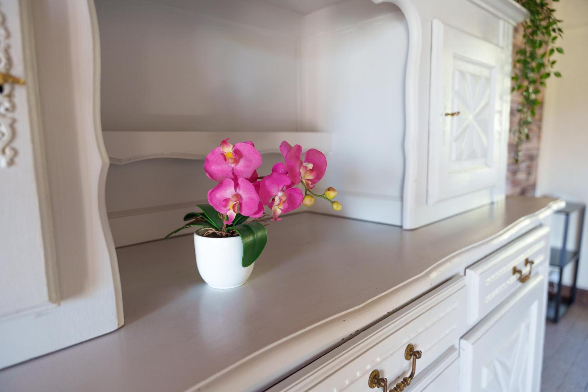 Gite Du Manoir Saint-Germain-des-Champs ภายนอก รูปภาพ